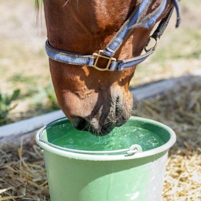 horse-sweat-electrolytes