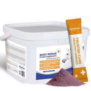 Horse Nutrition